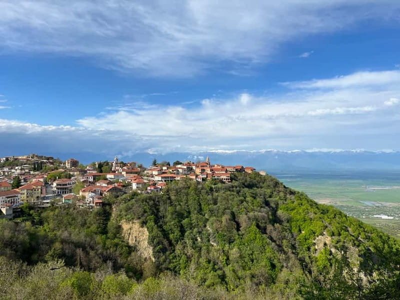 Sighnaghi Day Trip with wine tasting and Bodbe Monastery - Patardzeuli Wine Factory: Four Wines, Chacha, and a Practical Caveat