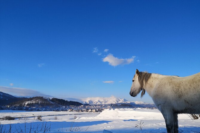 Ski & Snow Tour to Bakuriani from Kutaisi with Borjomi Stop - Snow conditions are the one real gamble