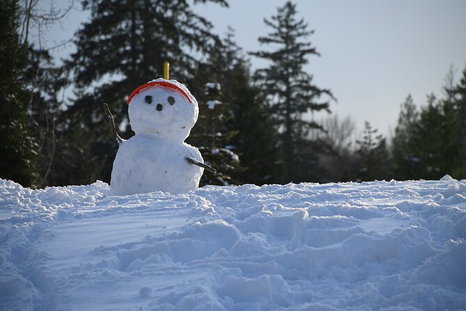 Ski & Snow Tour to Bakuriani from Kutaisi with Borjomi Stop - Who should book this experience?
