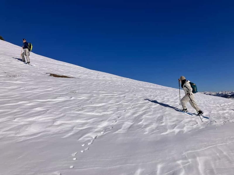 Snowshoeing in Bakuriani, Caucasus Mountains - Five reasons to consider this snowshoe tour