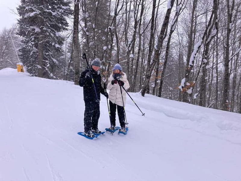 Snowshoeing in Bakuriani, Caucasus Mountains - The fish farm and cooking lunch