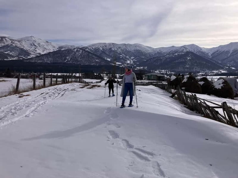 Snowshoeing in Bakuriani, Caucasus Mountains - What $58 includes, and where the value lies