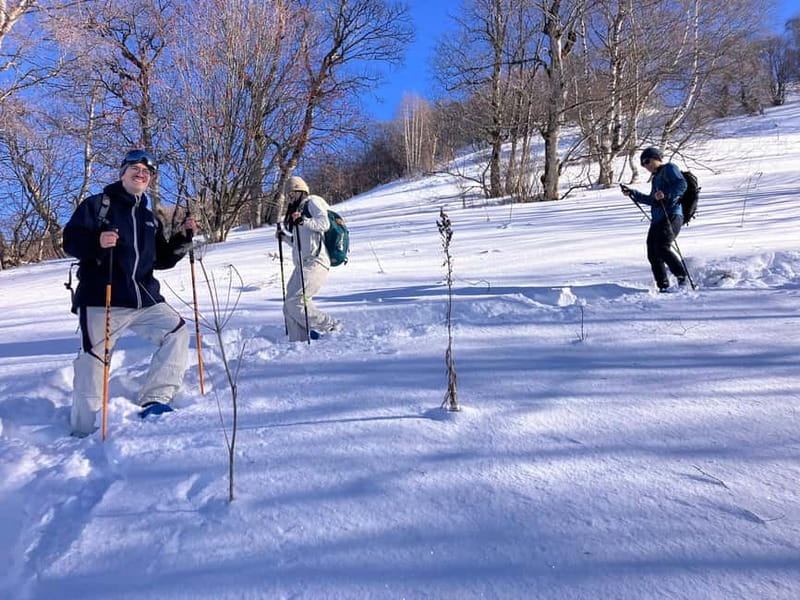 Snowshoeing in Bakuriani, Caucasus Mountains - Who should book this Bakuriani outing