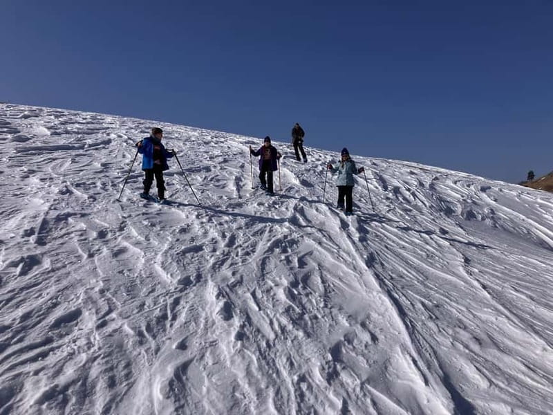 Snowshoeing in Bakuriani, Caucasus Mountains - What to bring for a comfortable walk