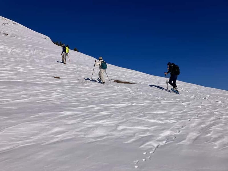 Snowshoeing in Bakuriani, Caucasus Mountains - The first village stop takes about an hour