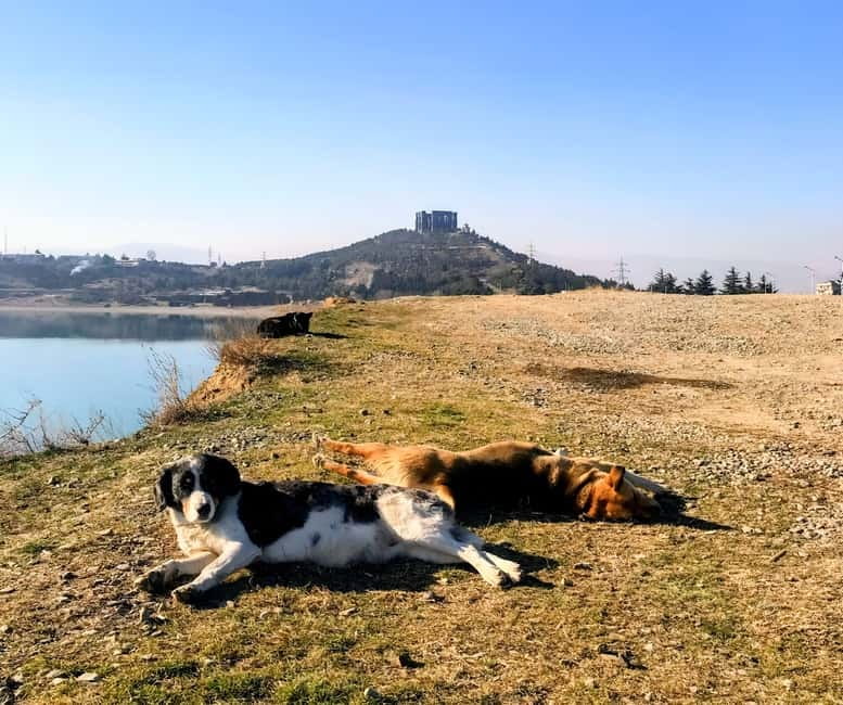 Spring in Tbilisi: Sabaduri, Jvari, Bears & Chronicle - Jvari Monastery Above Mtskheta