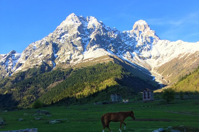 Svaneti Mountain Villages 4x4 Safari, tour from Kutaisi - Why This Two-Day Svaneti Trip Works