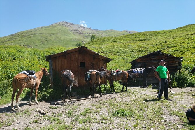 Svaneti Mountain Villages 4x4 Safari, tour from Kutaisi - What the $136.84 Price Really Covers