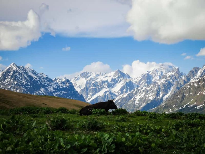 Svaneti Towers Private Tour to Mestia, Hatsvali, Ushguli - Comfort, packing, and who should book