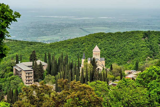 Taste of Kakheti: Wine Tour Bread Baking & Churchkhela Workshop - The wine cellar explains why Kakheti matters