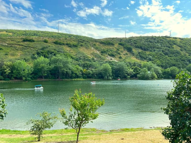 Tbilisi 2 Parks: Turtle Lake & Dedaena Park with Flea Market - What the flea market is best for