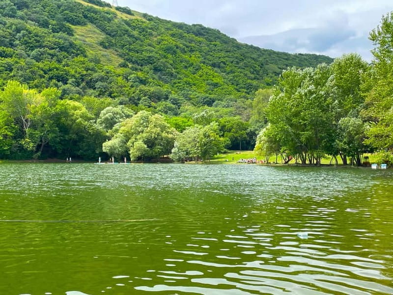 Tbilisi 2 Parks: Turtle Lake & Dedaena Park with Flea Market - Who will enjoy this tour most?