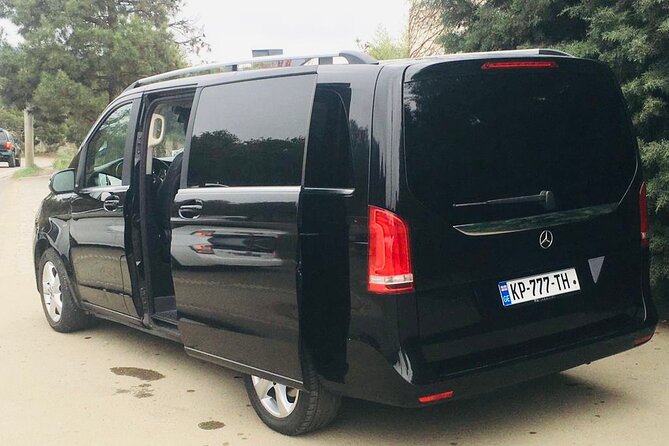 Tbilisi Airport to Gudauri, Bakuriani, Batumi, Tbilisi - A private arrival without the usual airport scramble