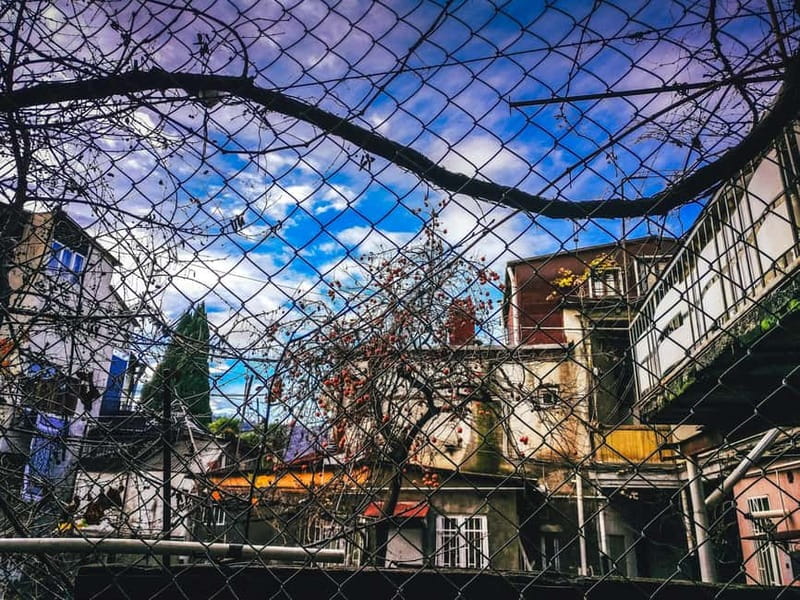 Tbilisi: Alternative (All Inclusive) City Tour, Lunch & Wine - Dry Bridge Market: objects with a past