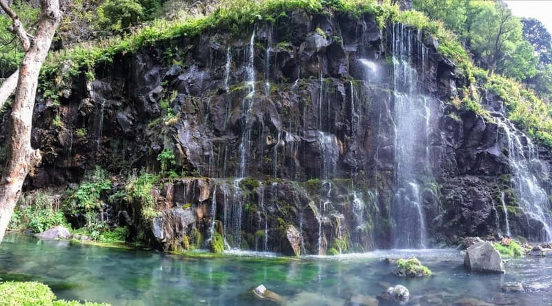 Tbilisi: Dashbashi Canyon and the Diamond Bridge Day Trip - Practical planning for the day