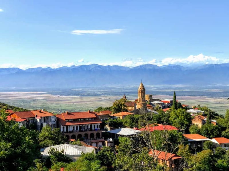 Tbilisi: Full-Day Kakheti & Sighnaghi Tour with Wine Tasting - Who will enjoy this day most
