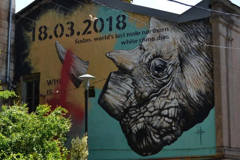 Tbilisi: Graffiti & Street Art Walking Tour - Practical advice before you go