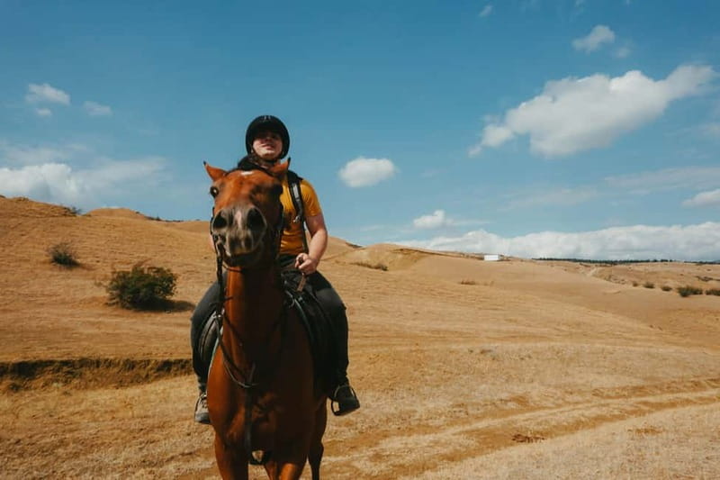 Tbilisi: Horseback Riding Experience - Key points at a glance