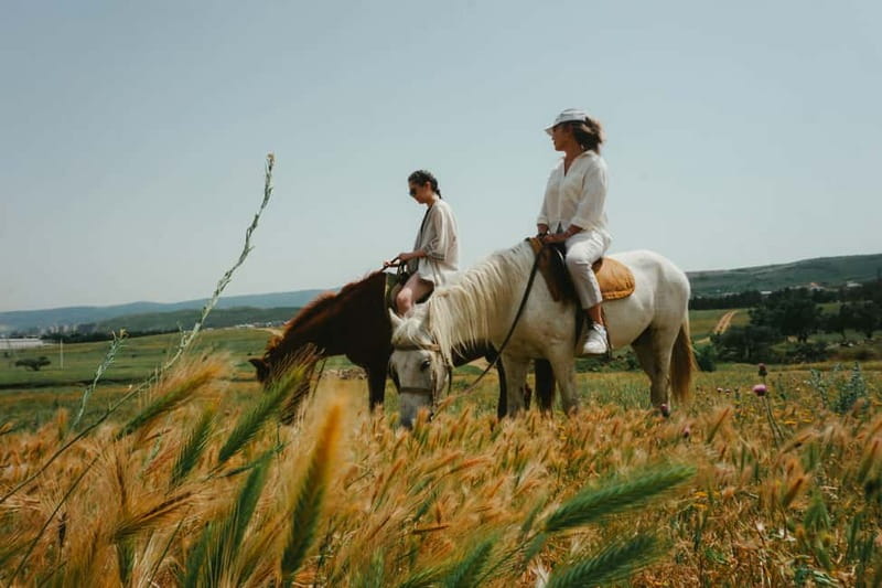 Tbilisi: Horseback Riding Experience - Why this short ride works near Tbilisi