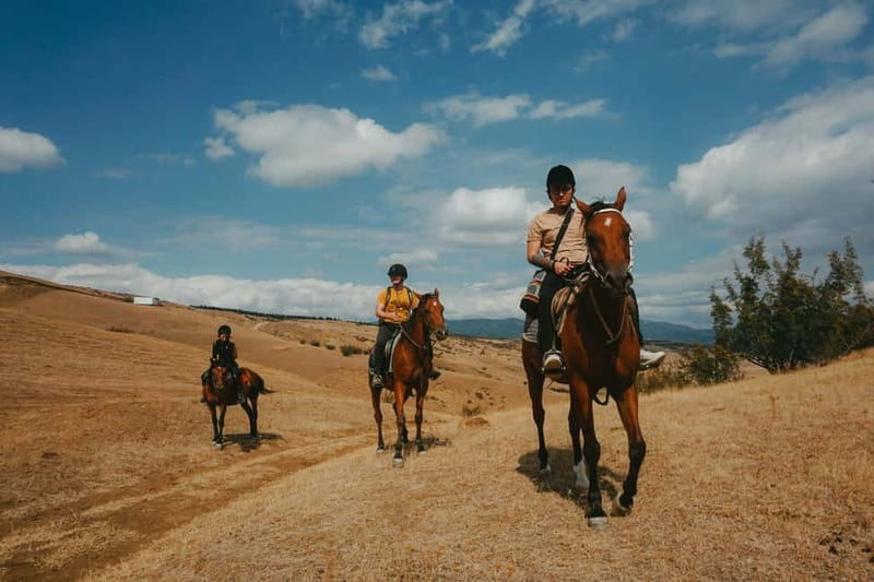 Tbilisi: Horseback Riding Experience - The first hour in the saddle