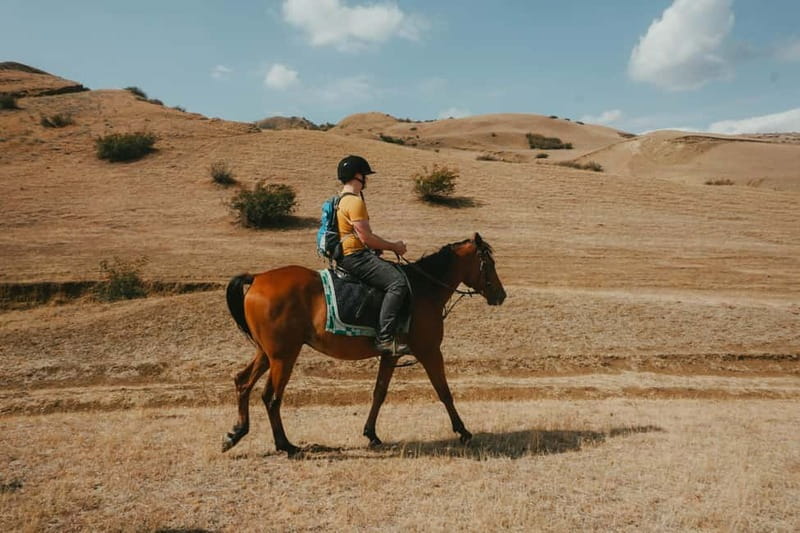 Tbilisi: Horseback Riding Experience - What the small group size changes