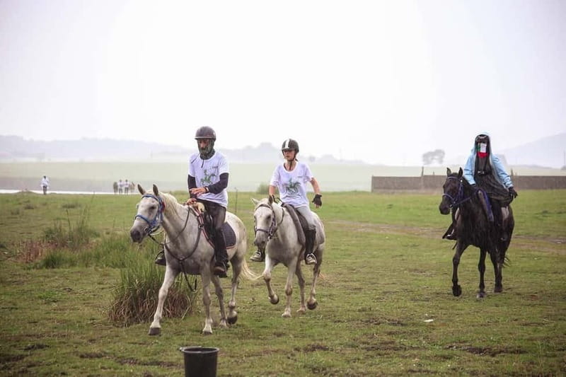 Tbilisi: Kakheti Horse Riding, Wine Tasting, and Cooking … - Key Details Worth Knowing