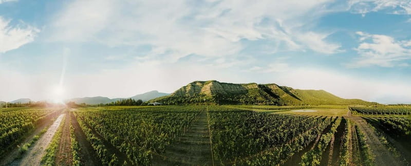 Tbilisi: Kakheti Horse Riding, Wine Tasting, and Cooking … - Booking Flexibility and Timing