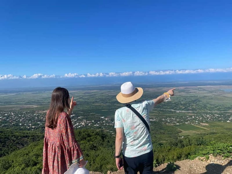 Tbilisi: Kakheti Private Wine Tour with Family Lunch - The Chavchavadze House-Museum