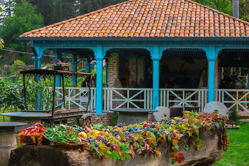 Tbilisi: Kakheti Private Wine Tour with Family Lunch - Who should book this Kakheti experience?