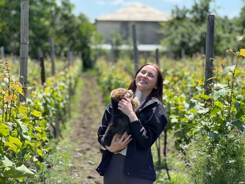 Tbilisi: Kakheti Private Wine Tour with Family Lunch - Gombori Pass and the road into Kakheti