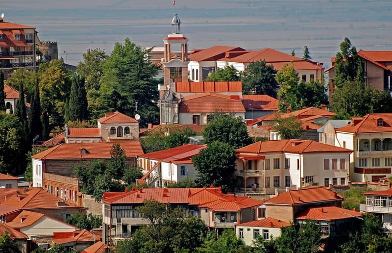 Tbilisi: Kakheti Region,Signaghi Tour with 7 Wine Tastings - Lunch, timing, and what to pack