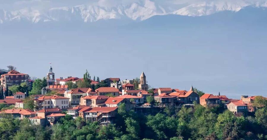 TBILISI :Kakheti Sighnaghi Bodbe Telavi, 7 Free Wine testing - Georgian wine in a local cellar