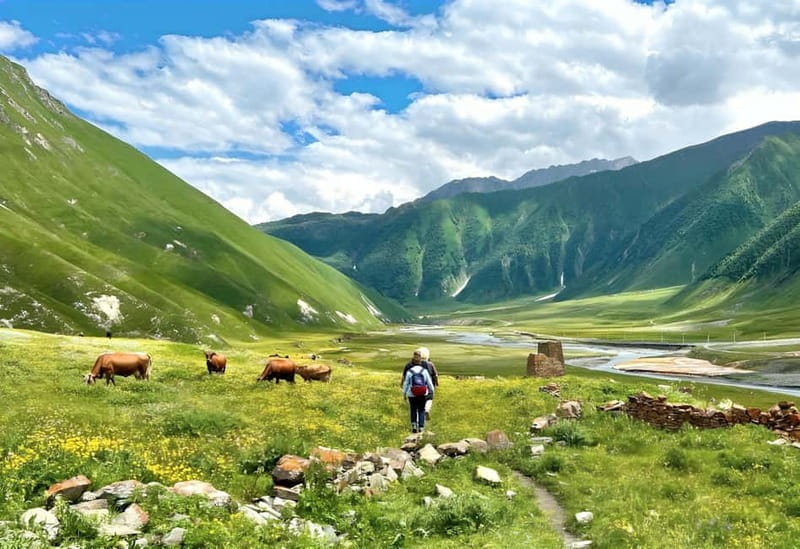 Tbilisi: Kazbegi Gudauri Ananuri and Truso Adventure by 4x4 - Key points to know before booking