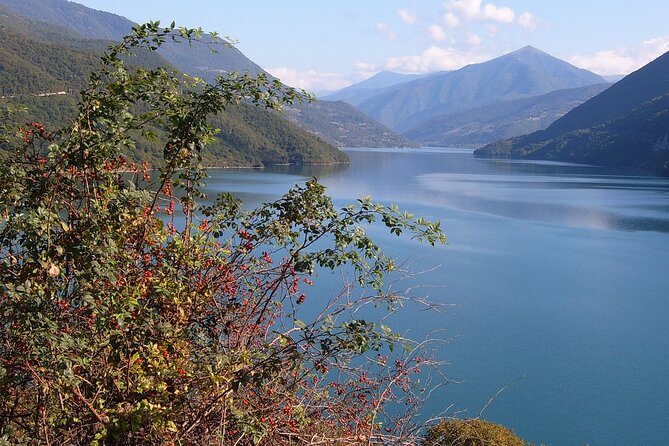 Tbilisi to Kazbegi, Gudauri, and Ananuri Day Tour - Gudauri View Point and the high mountain road