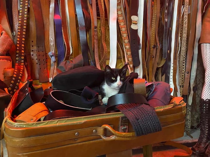 Tbilisi: Vintage Fashion and Secondhand Thrifting Tour - Is $17 a good price?