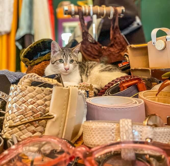 Tbilisi: Vintage Stores and Cafes Walking Tour with Coffee - Who will get the most from the $46 price