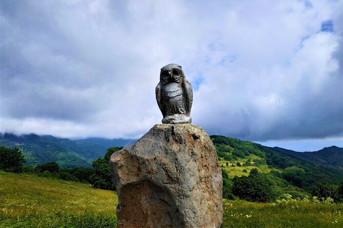 Tour to Didgori Valley from Tbilisi (Turtle Lake, Ethnographic Museum, Kojori) - Transport, timing, and comfort