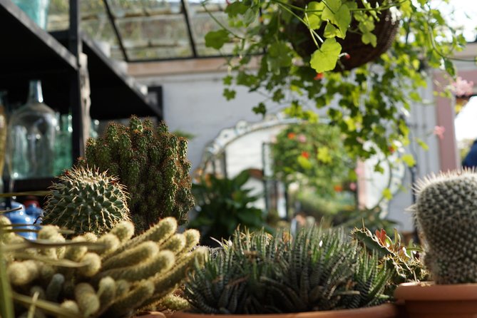 Tour to Gardenia Shevardnadze Flea Market and Tbilisi Old Town - Walking down through Legvtakhevi and Abanotubani