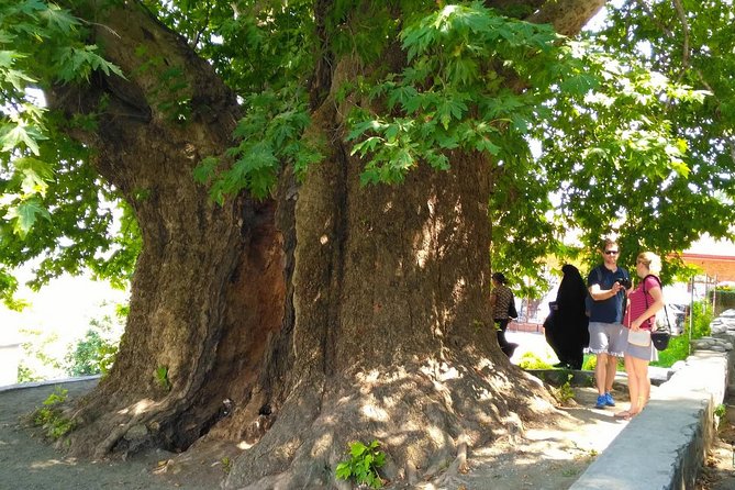 Tour to Kakheti. Sighnaghi –Bodbe Monastery –Tsinandali –Telavi –Winery –Gombori - Georgian Wine at the Winery