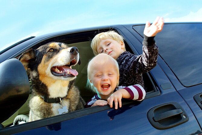 Transfer airport Tbilisi - Gudauri - Choosing the Right Vehicle for Your Group