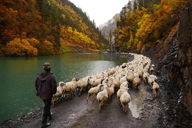 Trekking Tour from Tusheti to Khevsureti via Atsunta Pass - Day 2: Dartlo and the climb to Kvavlo