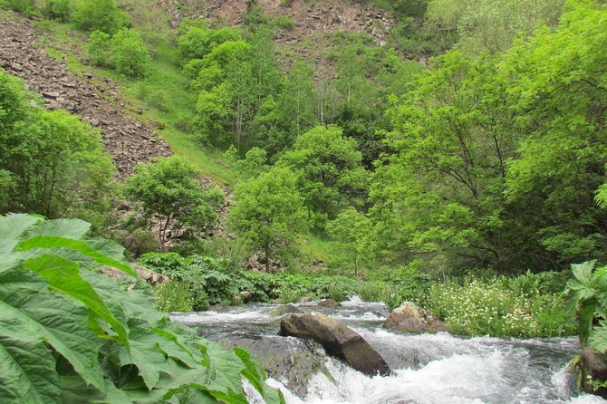 Trip to The Diamond Bridge and Dashbashi Canyon - Azeula Fortress and its ninth-century setting