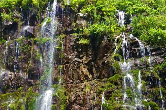 Tsalka Canyon Tour from Tbilisi with Poka Nunnery, Gorelovka and Asureti - Why this 12-hour route is worth your time