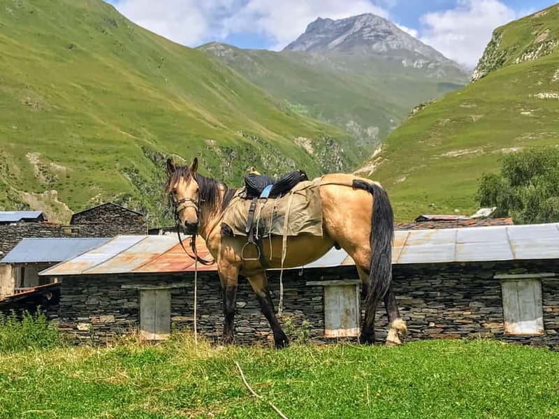 Tusheti Thrill: Limited-Time Mountain Escape 3 day tour - From Tbilisi to Omalo on Day 1