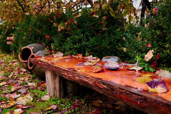 Two Days in Gorgeous Wine Region with Full board Meals and Tastings From Tbilisi - Why two days works better than one
