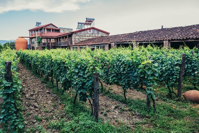 Two Days in Gorgeous Wine Region with Full board Meals and Tastings From Tbilisi - A guesthouse night changes the pace