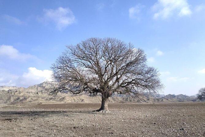 Vashlovani National Park Day Trip from Tbilisi - Key points at a glance
