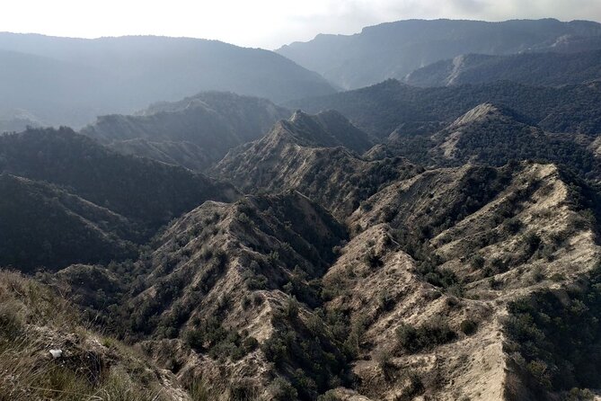 Vashlovani National Park Day Trip from Tbilisi - Eight hours among cliffs, forests, and open plains