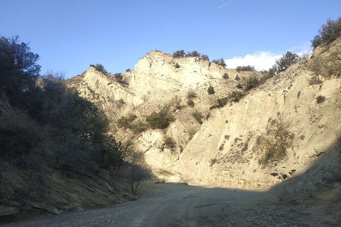 Vashlovani National Park Day Trip from Tbilisi - Birdwatching and wildlife in a huge protected area