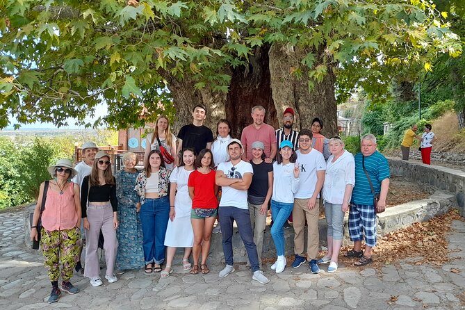 Whole day Wine Tour to Kakheti from Tbilisi - What the $30 price really covers